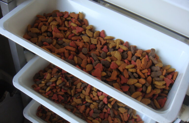 Pet food in a PFI sanitary bucket conveyor.