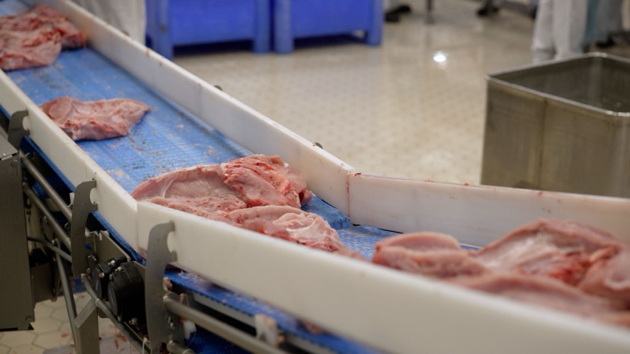 Sanitary conveyor design is critical for meat processing